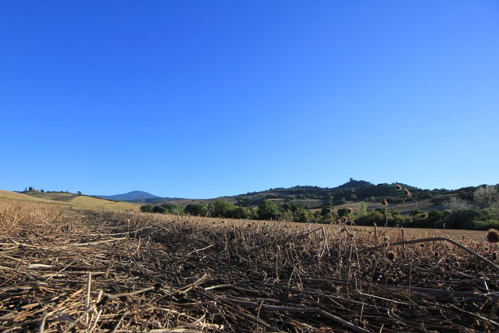شقة La Terrazza Sulla Val D'Orcia Castiglione dʼOrcia المظهر الخارجي الصورة
