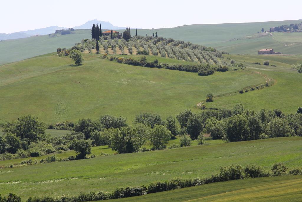 شقة La Terrazza Sulla Val D'Orcia Castiglione dʼOrcia المظهر الخارجي الصورة
